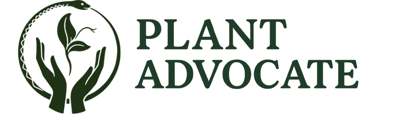 logo main